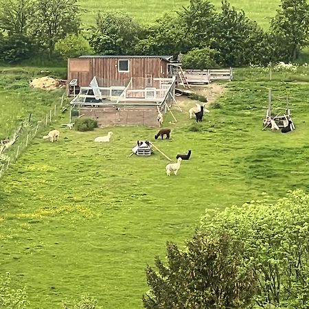 Gemuetliche 3-Zimmer-Wohnung Mit Panoramablick Und Kostenlosem Ueberdachten Parkplatz Winterberg Buitenkant foto