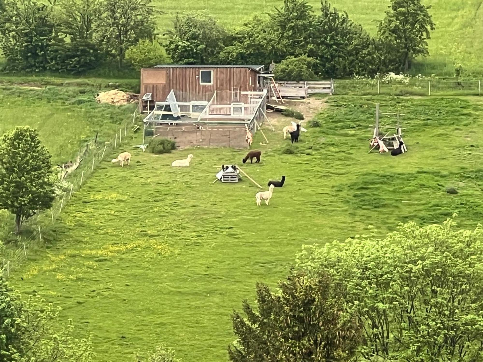 Gemuetliche 3-Zimmer-Wohnung Mit Panoramablick Und Kostenlosem Ueberdachten Parkplatz Winterberg Buitenkant foto
